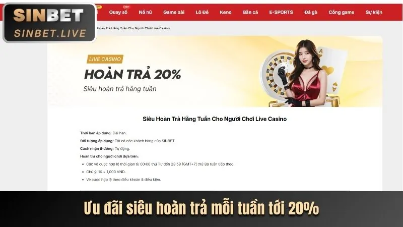 Cấu trúc cấp bậc VIP của nhat vip